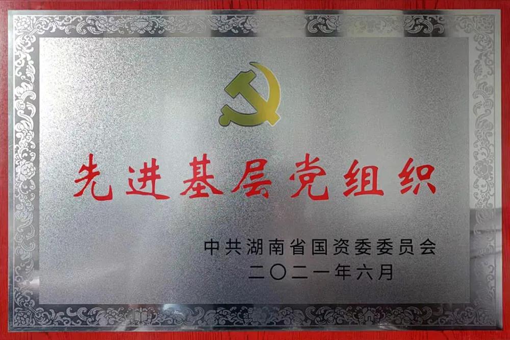 湘電重裝黨委先進基層黨組織.jpg 湘電重裝黨委先進基層黨組織.jpg